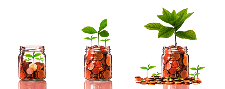 Photo of plants growing in jars of coins.